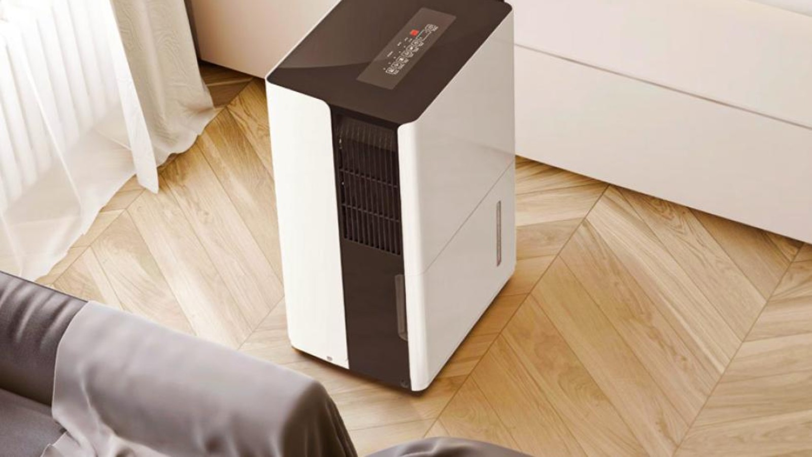 Διώχνουν τη μούχλα και καθαρίζουν τον αέρα  